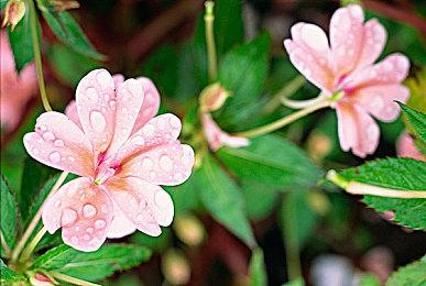 斯宾塞称《星空》再厉害 Xbox也无法超越索尼任天堂